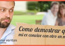 COMO DEMOSTRAR QUE MI EX VIVE CON OTRO EN MI CASA