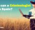 Where can a criminologist work in Spain?