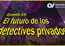 EL FUTURO DE LOS DETECTIVES PRIVADOS